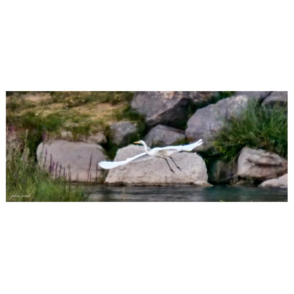 PHOTO84, CLUB, 84 , LUBERON